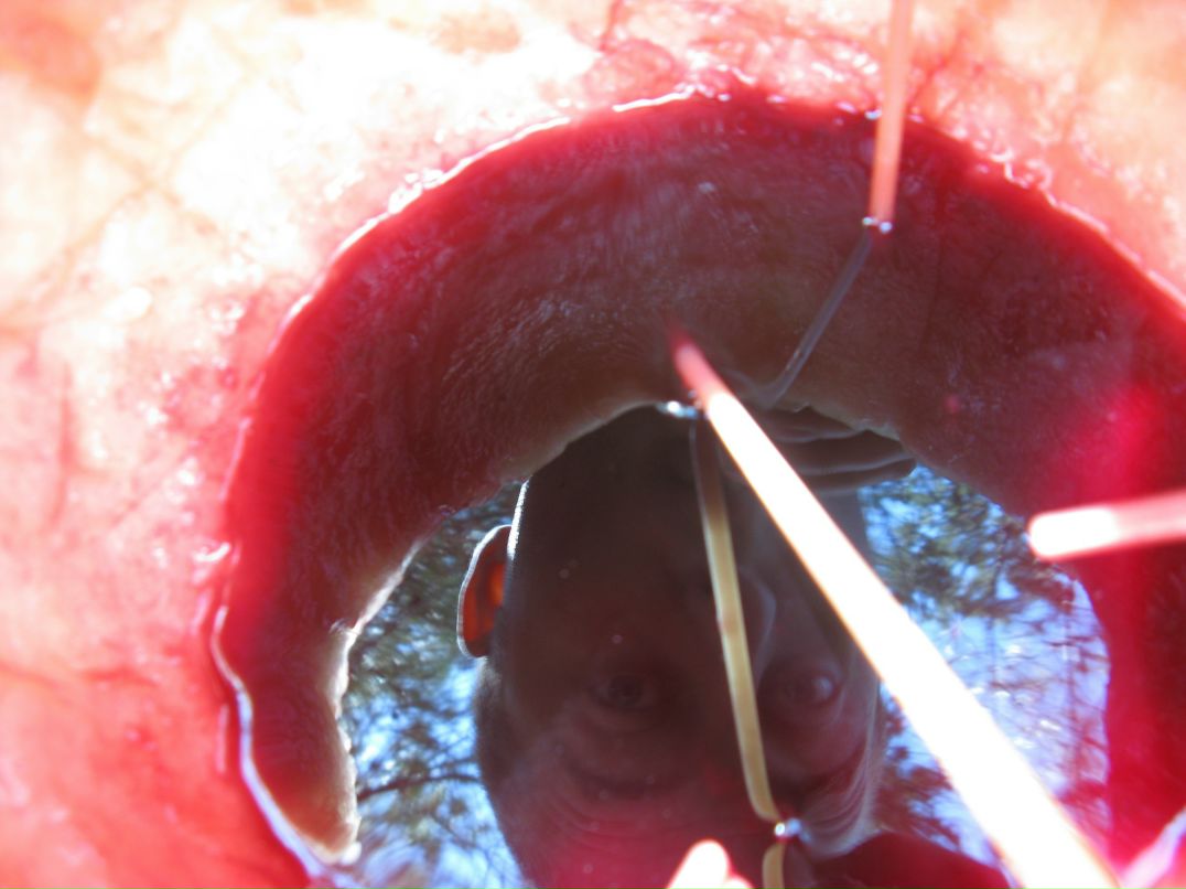 Cucumber Jam фотография #32