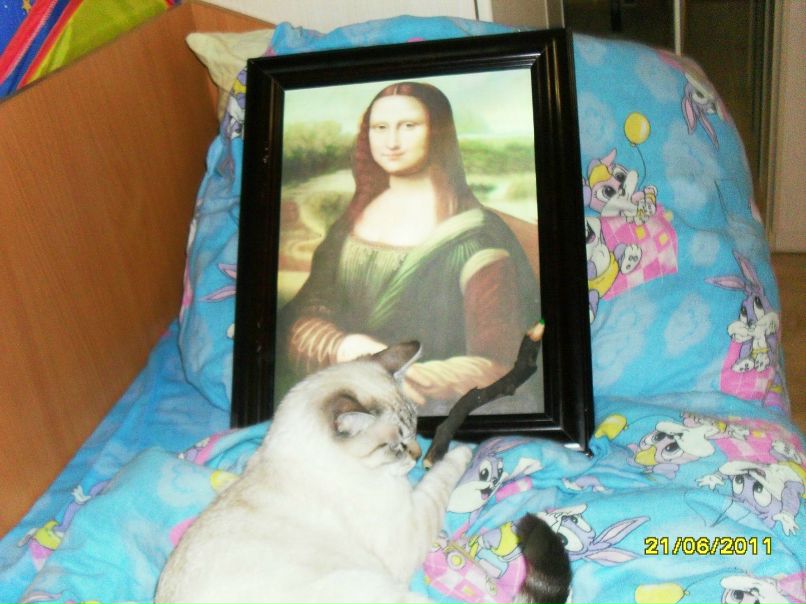 Игорь Лихачёв фотография #46