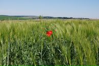 Юрій Дацько фотография #24 (источник - https://vk.com/id9641386)