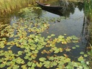 Сергій Цьома фотография #25 (источник - https://vk.com/id149618411)