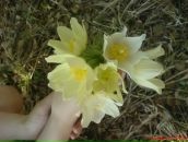 Фотография Ереминой Елены