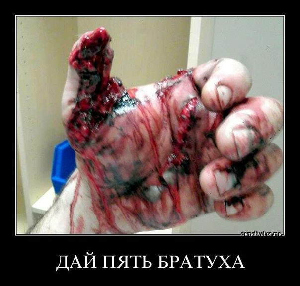 Дмитрий Малашко фото №3