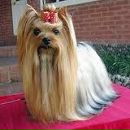 Галина Курпіль фотография #2 (источник - https://vk.com/id132141849)