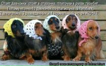 Фотография Татосян Нары