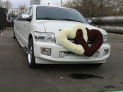 Фотография Федяковой Светланы