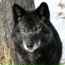 Андрій Черноусов фотография #10 (источник - https://vk.com/id61214493)