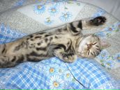 Фотография Глинки Ольги