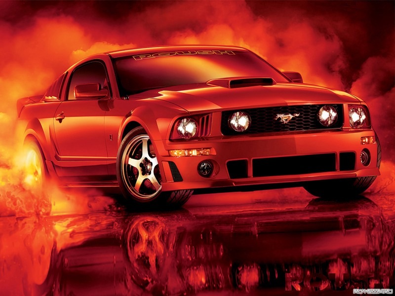 Иван Дмитриев фотография #5