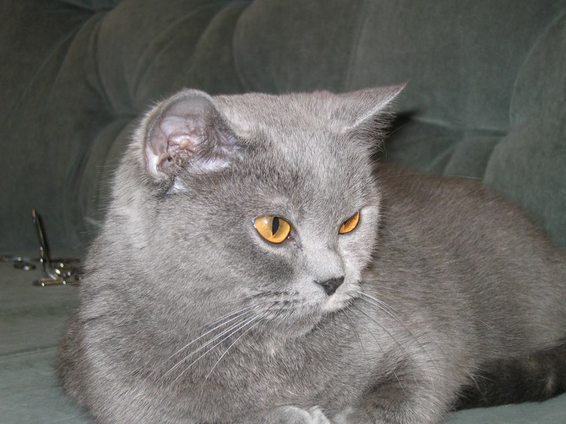 Валя Богданова фотография #22