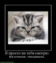Фотография Слюсаревой Елены
