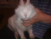 Фотография Троицкой Тани