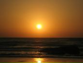 Фотография Трофимовой Дарьи