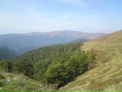 Міша Motsa фотография #12 (источник - https://vk.com/id52852421)