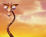 Фотография Изотова Елизавета