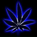 Соломіка Білова фотография #6 (источник - https://vk.com/id164001905)