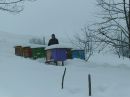 Іван Козловський фотография #15 (источник - https://vk.com/id121300526)