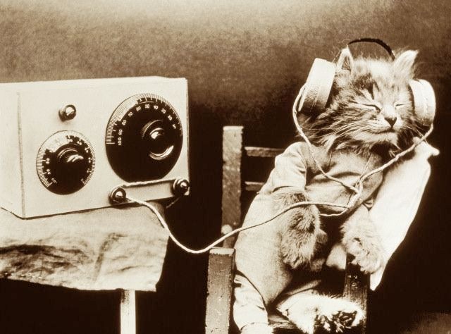 Егор Плотников фотография #20