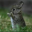 Каріна Попенко фотография #4 (источник - https://vk.com/id161613856)