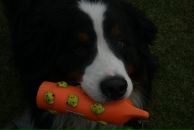 Фотография Корогодова Филиппа