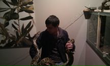 Фотография Мика Тё