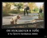Станислав Яковлев фотография #42 (источник - https://vk.com/id2910677)