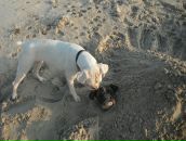 Anuta Hands фотография #15 (источник - https://vk.com/id1373359)