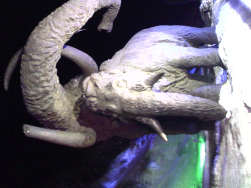 Юра Башков фотография #34