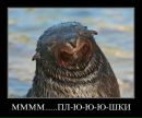 Просто Игорь фотография #37 (источник - https://vk.com/id2773491)