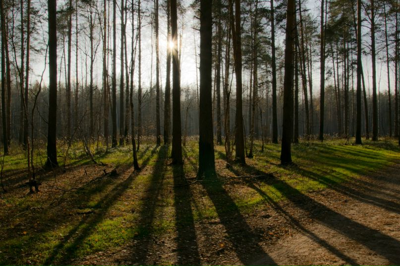 Дмитрий Клочков фотография #31