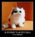 Фотография Акимова Макса