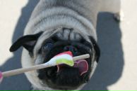 Фотография Рахимов Владимир