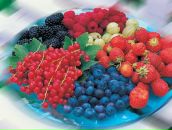 Міша-Іра Павлик фотография #25 (источник - https://vk.com/id42441609)