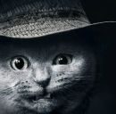 Іринка Povshyk фотография #20 (источник - https://vk.com/id131988686)