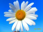 Фотография Катковой Марии