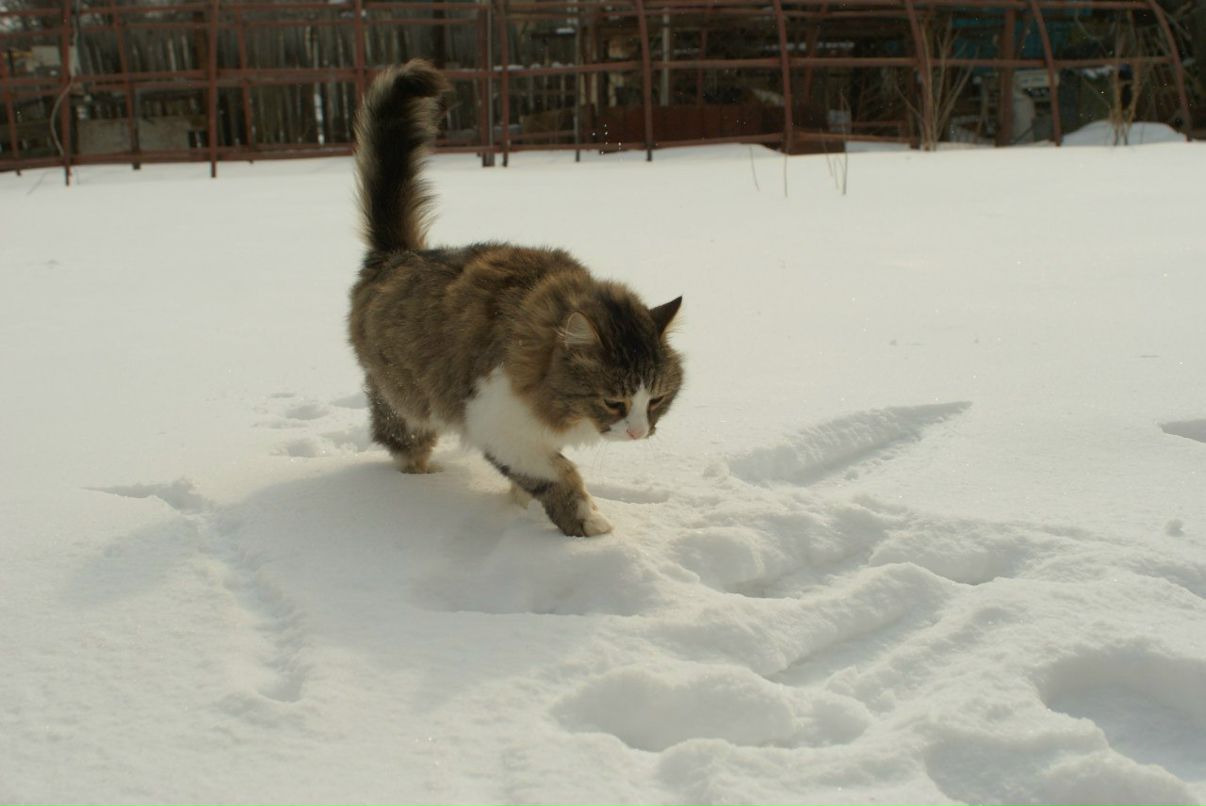 Anton Kasimov фотография #37