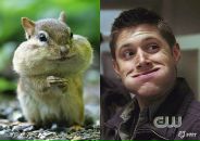 Андрій Демчук фотография #36 (источник - https://vk.com/id60287097)