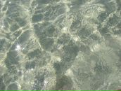 Антон Юрчик фотография #11 (источник - https://vk.com/id9404657)