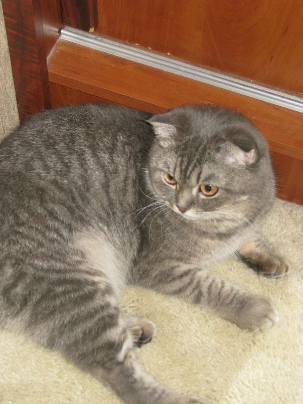 Сергей Липченко фотография #15