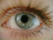 Фотография Красиковой Светланы