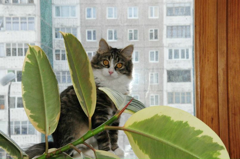 Антон Салянский фотография #46