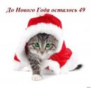 Діана Береза фотография #15 (источник - https://vk.com/id162546834)