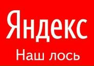 Вікі Петричкевич фотография #43 (источник - https://vk.com/id83160524)