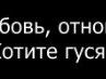 Андрій Венгренюк фотография #40 (источник - https://vk.com/id88421208)