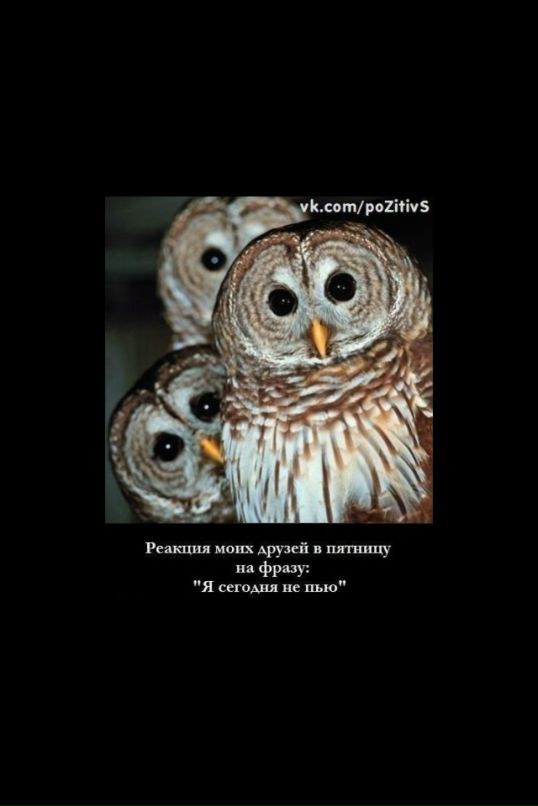 Igor Rybakov фотография #7