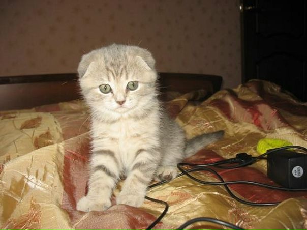 Лера Митина фото №37