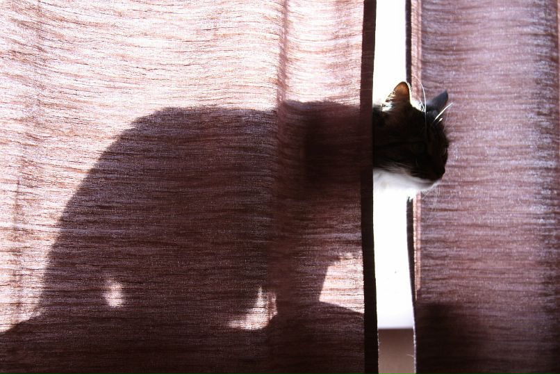 Sin Tsyn фотография #49