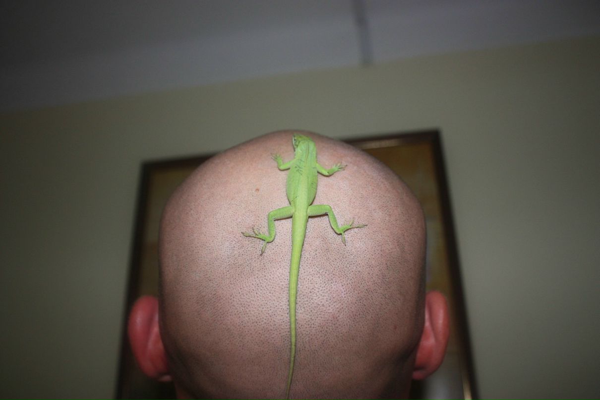 Сергей Коваленко фотография #45