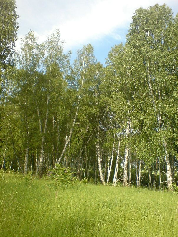 Дмитрий Федуленко фотография #3