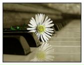 Інна Хмара фотография #1