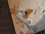 Фотография Полянской Марии